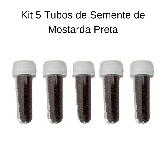 Kit 5 Tubos de Sementes Para Auricoloterapia