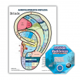 Cristal Radiônico Raul Breves + Mapa Auriculoterapia Reflexa 