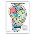 Cristal Radiônico Raul Breves + Mapa Auriculoterapia Reflexa 