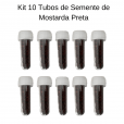 Kit 10 Tubos de Sementes Para Auricoloterapia