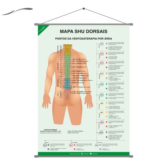 Mapa Banner Pontos Ventosaterapia Shu Dorsais 60x90