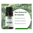 Óleo Essencial Cipreste 10ml - Eccos