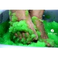 Jelly Spa Inspiração Otimismo e Foco - 100g