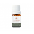 Óleo Essencial Tea Tree (Melaleuca) GT Brasil 10 ml - Laszlo