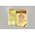 Acupuntura Auricular Chinesa 5a Ed. - Prof Wagner P. Da Fonseca