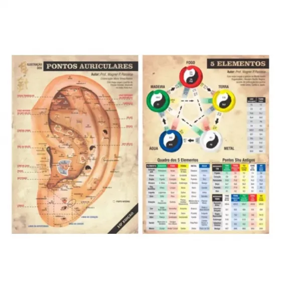 Kit Mapa Pontos Auriculares E 5 Elementos - Wagner P. Da Fonseca