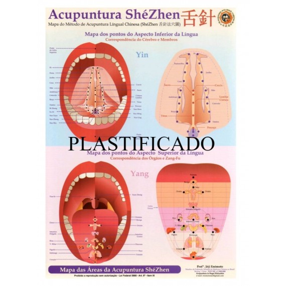 Mapa Acupuntura Shézen Método Lingual Chinesa Plastificado - Prof  Enomoto