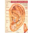 Kit Mapa Pontos Auriculares E 5 Elementos - Wagner P. Da Fonseca