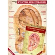 Combo Mapa e Livro Acupuntura Auricular Chinesa - Wagner P. Da Fonseca