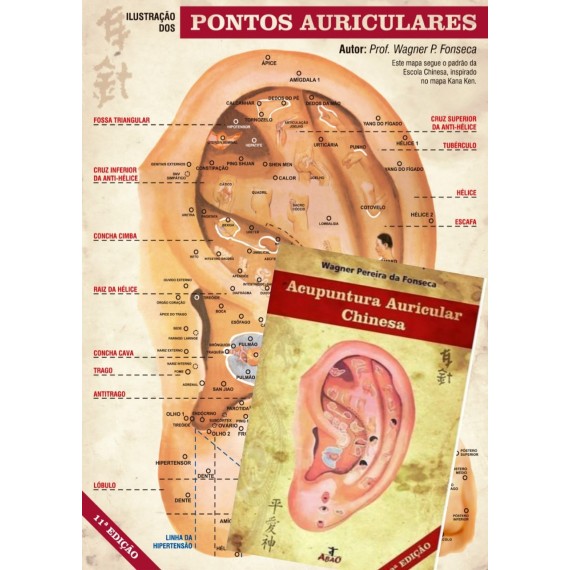 Combo Mapa e Livro Acupuntura Auricular Chinesa - Wagner P. Da Fonseca