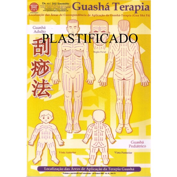 Mapa Massagem Guasha Terapia Plastificado - Prof Enomoto