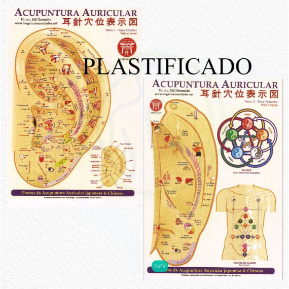 Mapa Acupuntura Auricular Chinesa Japonesa Plastificado - Prof. Enomoto