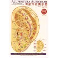 Mapa Acupuntura Auricular Chinesa Japonesa Plastificado - Prof. Enomoto