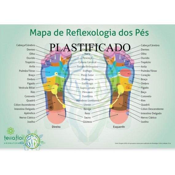 Mapa Reflexologia Podal Dos Pés Plastificado