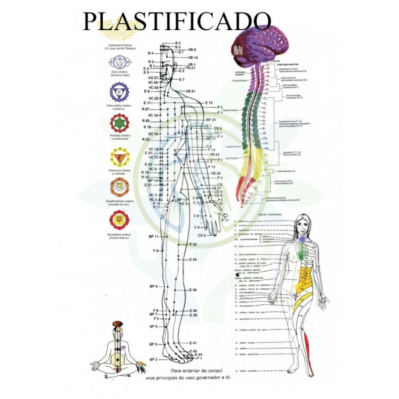 Mapa Meridianos Dos Chakras Principais Pontos Frente E Verso