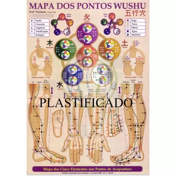 Mapa Pontos Wushu 5 Elementos nos Pontos de Acupuntura Plastificado A4