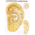 Kit 05 Mapas Acupuntura Auricular Plastificados