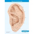 Mapa Acupuntura Auricular Chinesa Plastificado A4