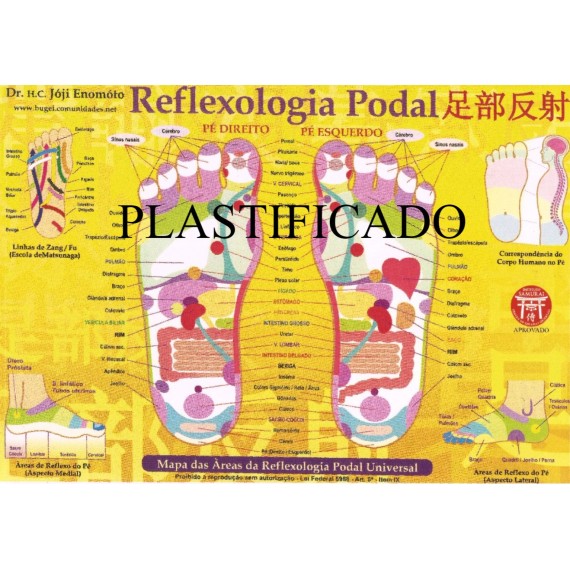 Mapa De Reflexologia Podal Plastificado - A4