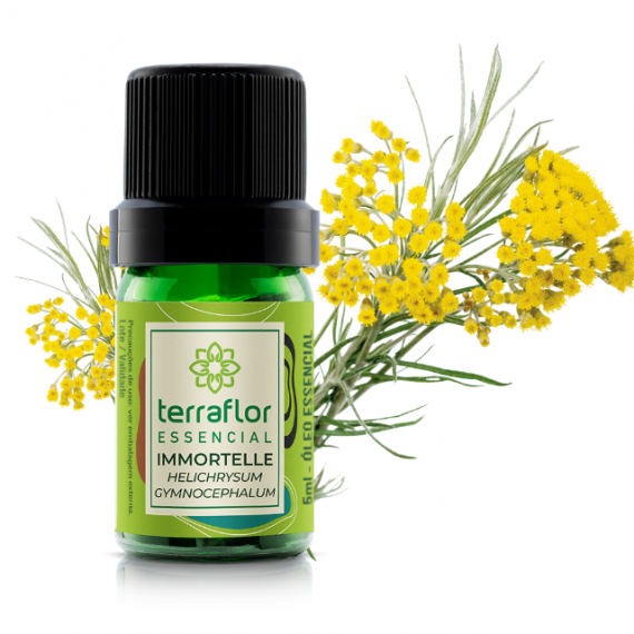 Óleo Essencial Immortelle 5ml - H Gymnocephalum - Terraflor