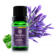 Óleo Essencial Lavanda Francesa 10ml - Terra Flor 