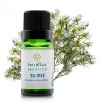 Óleo Essencial Tea Tree Melaleuca 10ml - Terra Flor